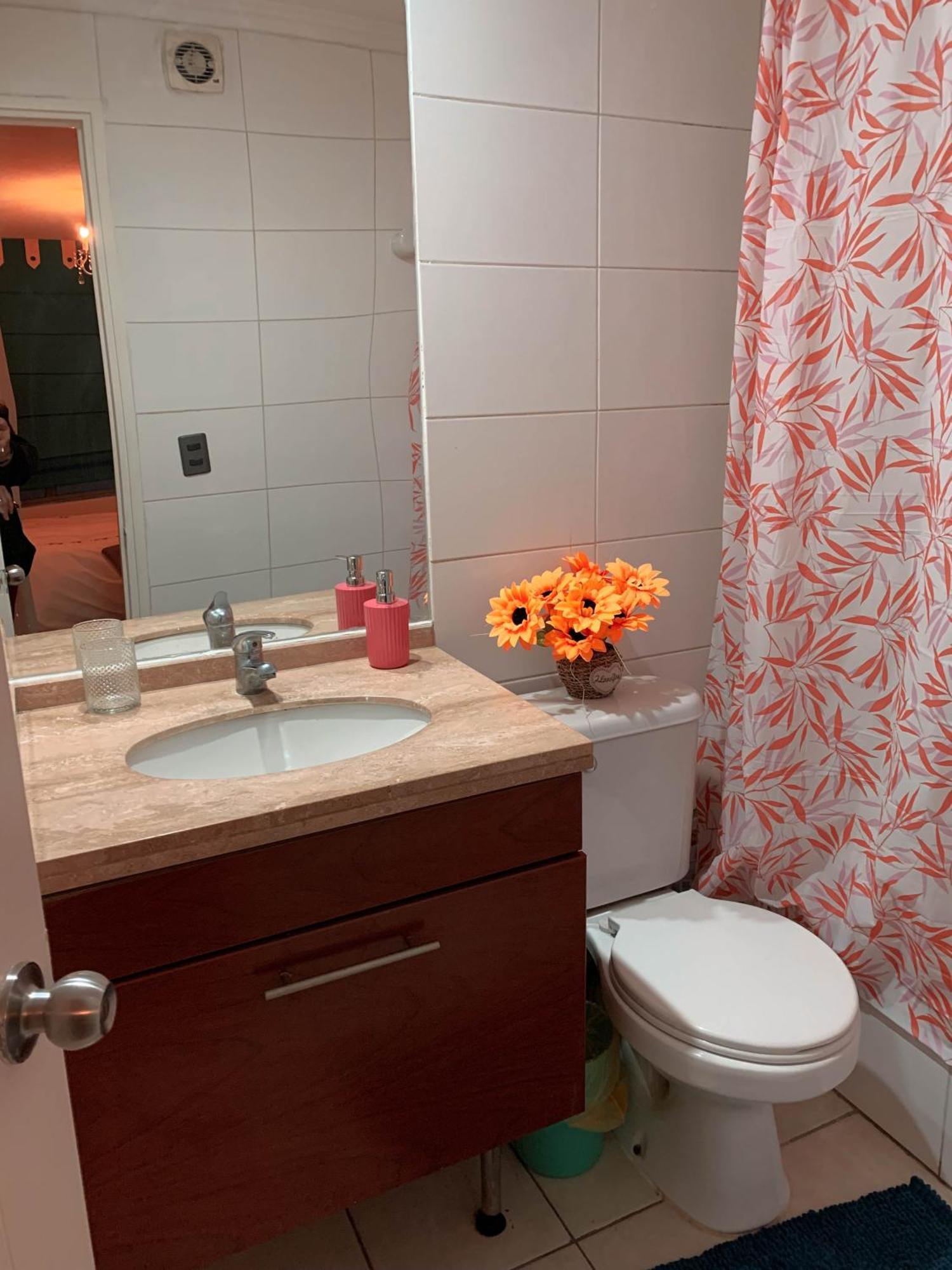 Depto 5 Metro Plaza De Armas 1 Dormitorio 1 Bano Сантьяго Экстерьер фото